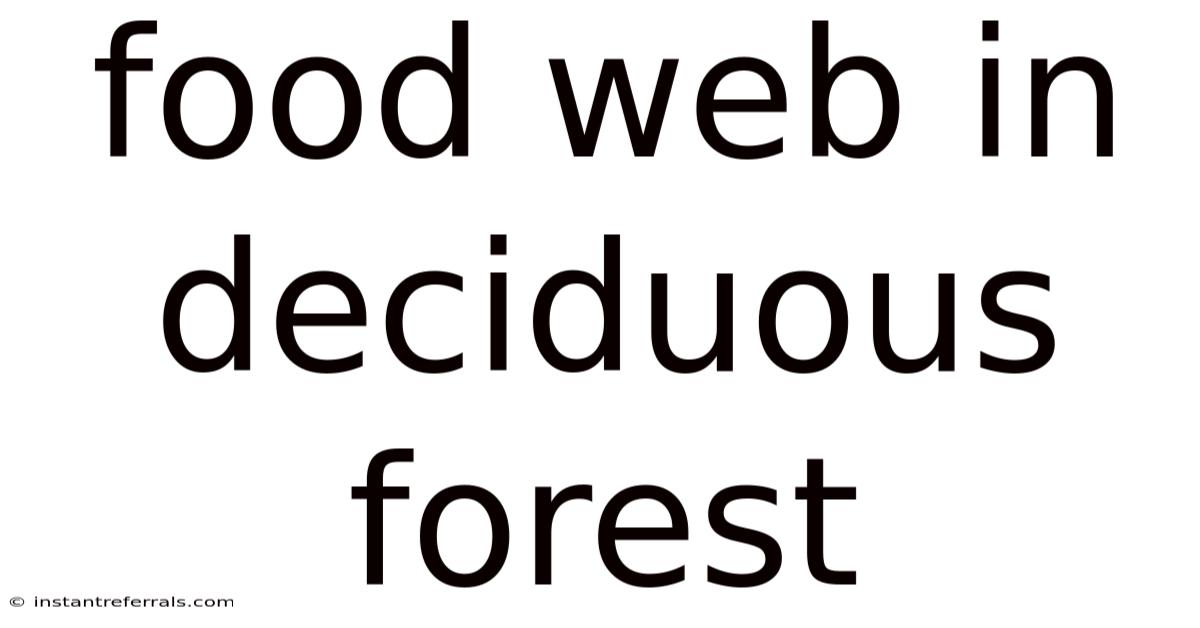 Food Web In Deciduous Forest