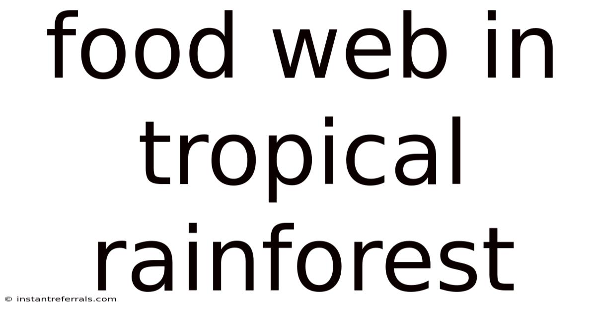 Food Web In Tropical Rainforest