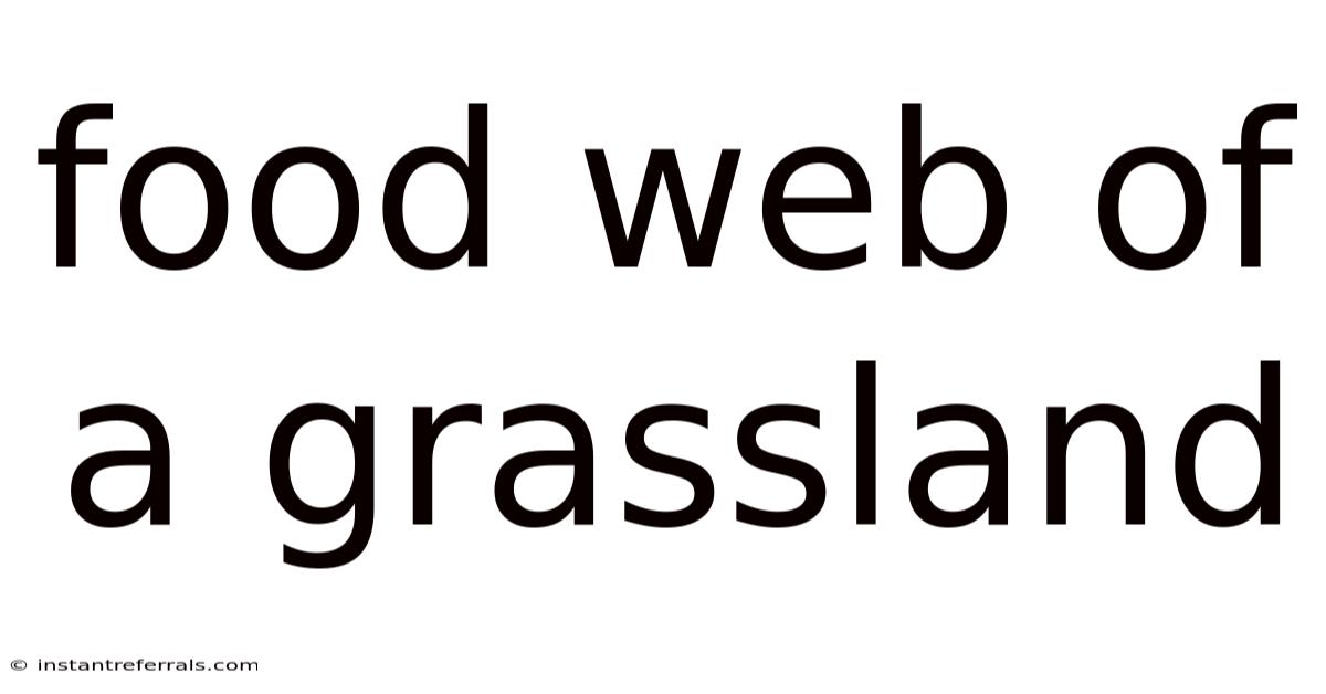 Food Web Of A Grassland