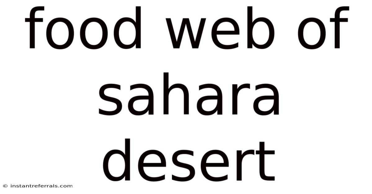 Food Web Of Sahara Desert