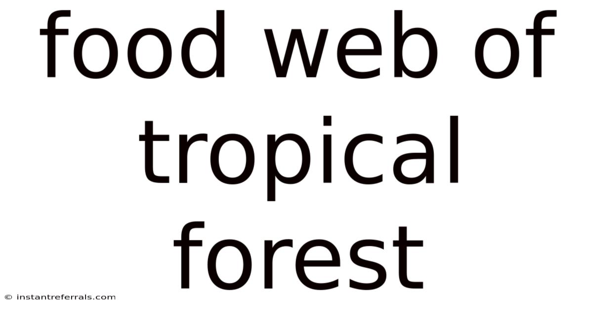 Food Web Of Tropical Forest