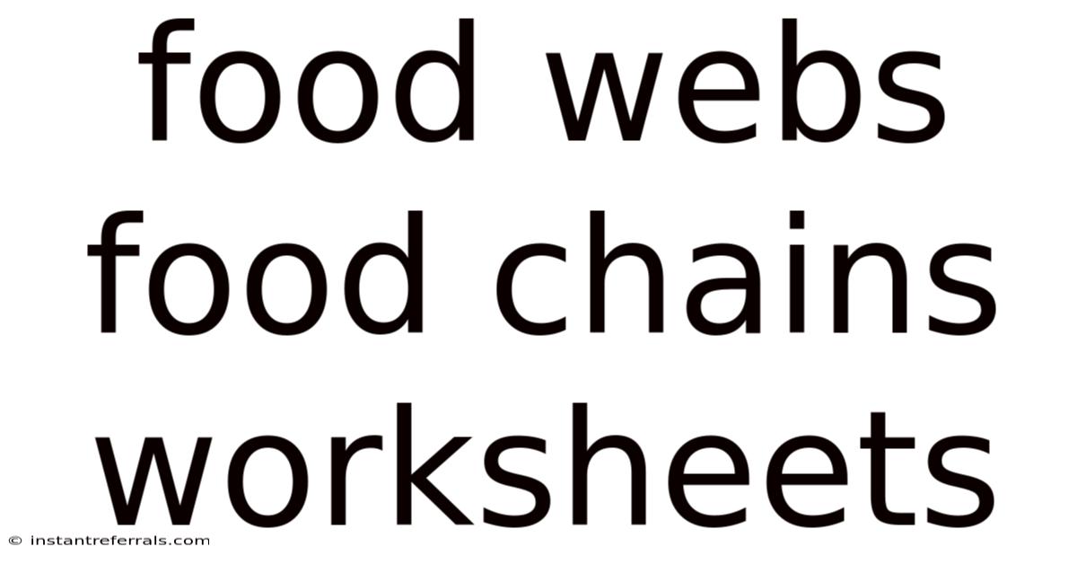 Food Webs Food Chains Worksheets