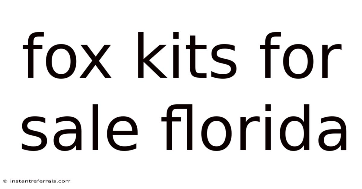 Fox Kits For Sale Florida