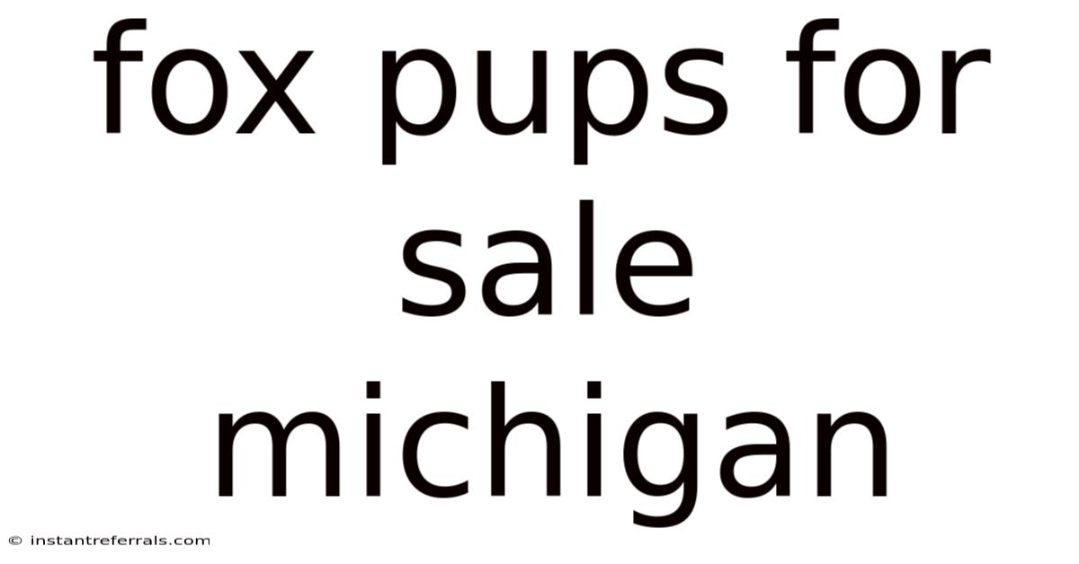 Fox Pups For Sale Michigan
