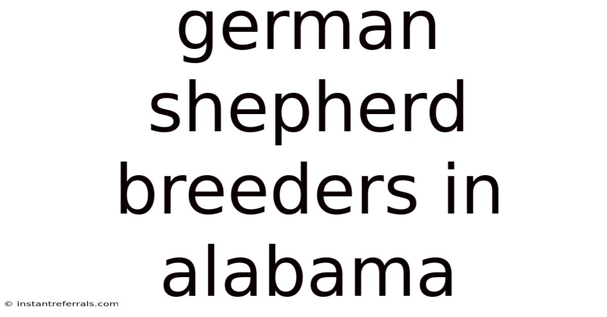 German Shepherd Breeders In Alabama