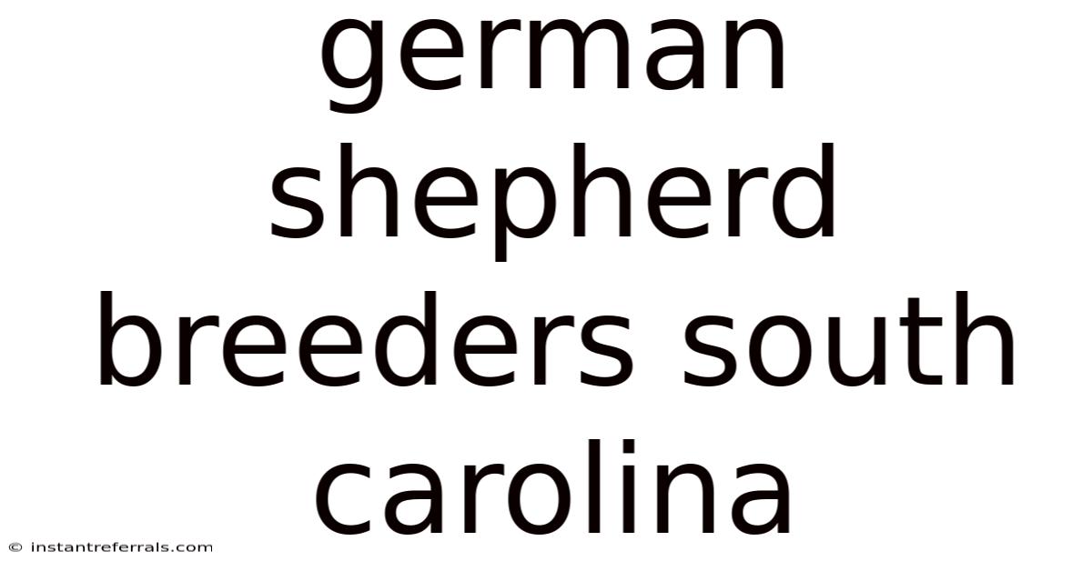 German Shepherd Breeders South Carolina