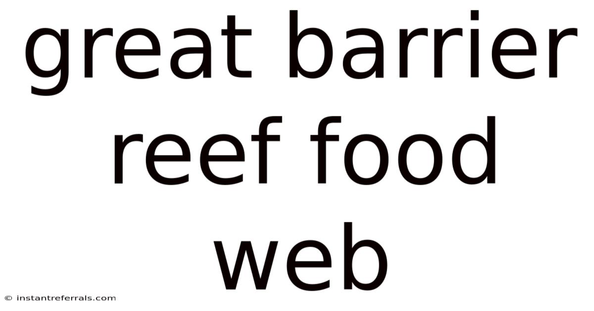 Great Barrier Reef Food Web
