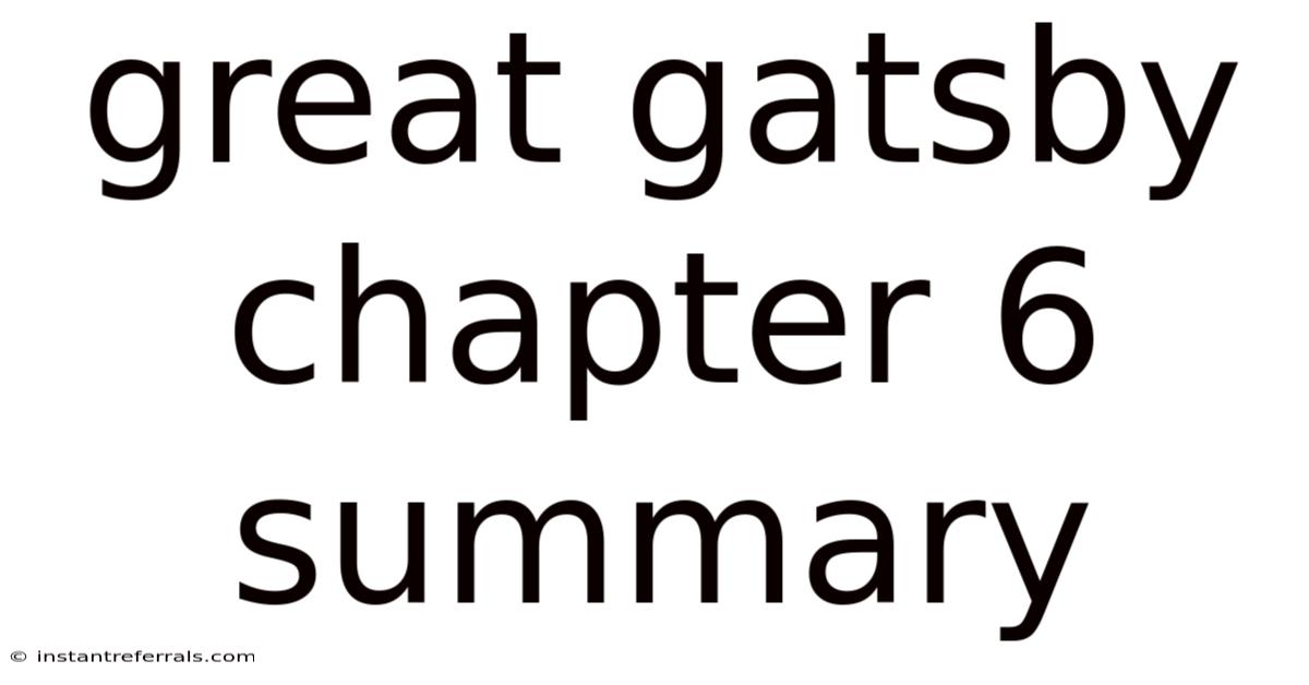 Great Gatsby Chapter 6 Summary