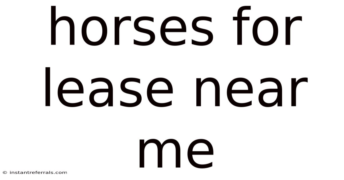 Horses For Lease Near Me