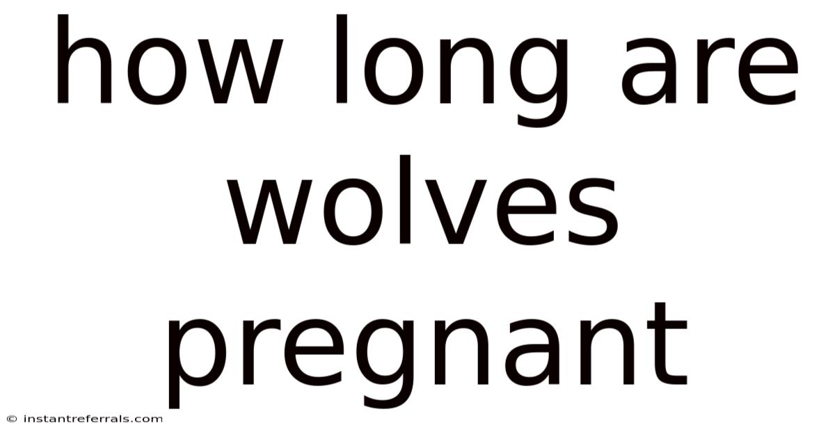 How Long Are Wolves Pregnant