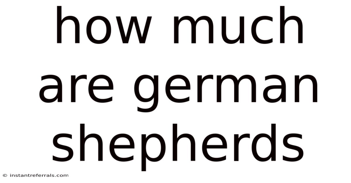 How Much Are German Shepherds