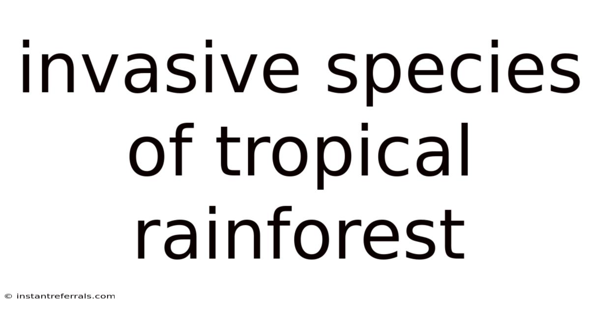 Invasive Species Of Tropical Rainforest