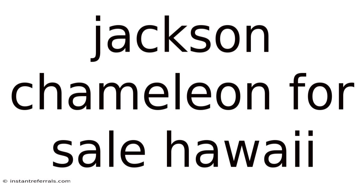 Jackson Chameleon For Sale Hawaii