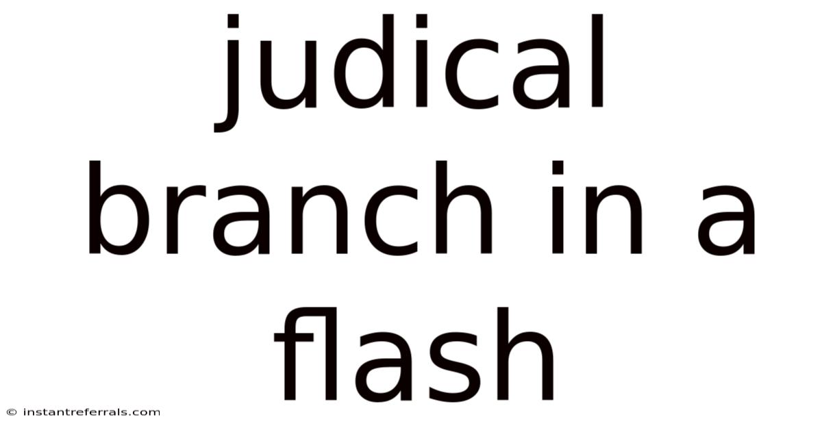 Judical Branch In A Flash