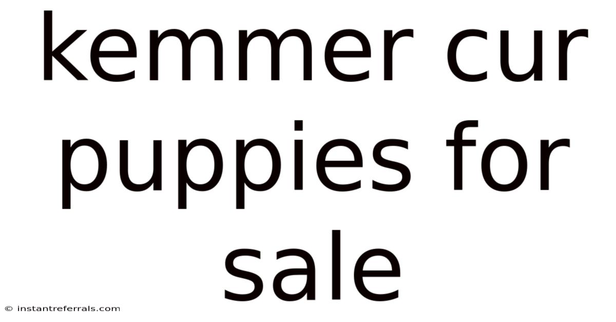 Kemmer Cur Puppies For Sale