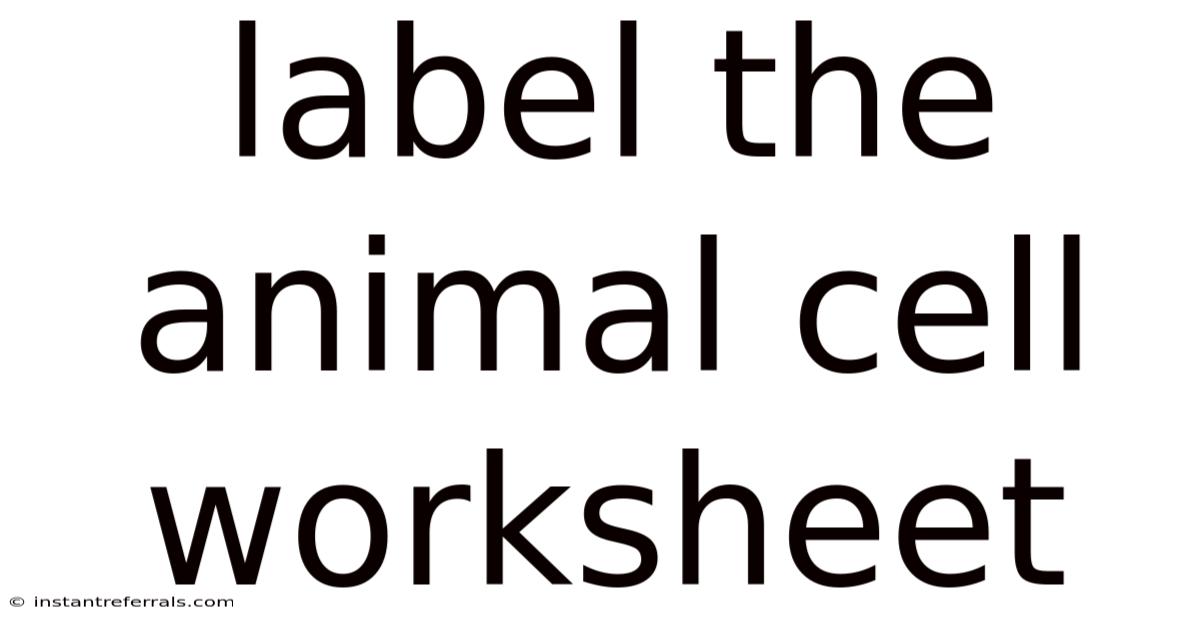Label The Animal Cell Worksheet