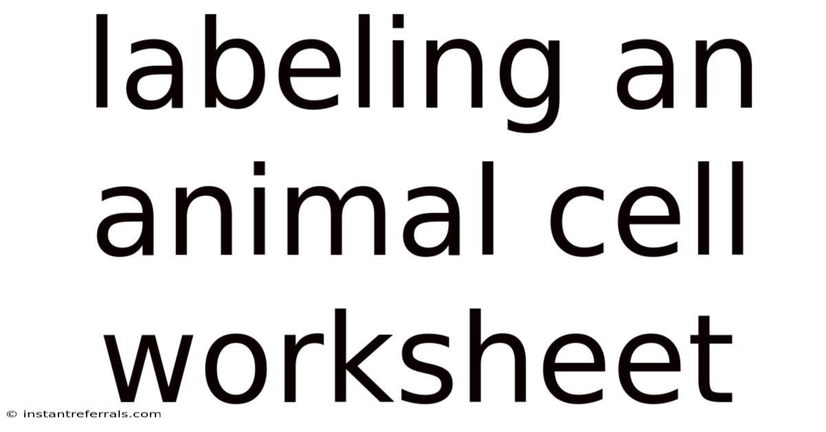 Labeling An Animal Cell Worksheet