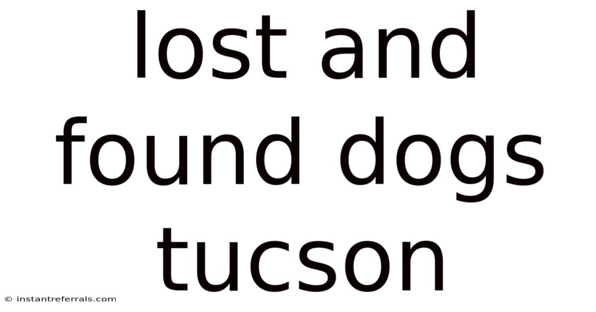 Lost And Found Dogs Tucson