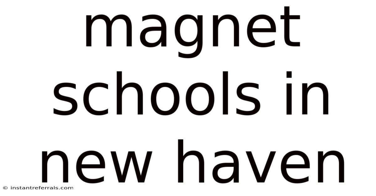 Magnet Schools In New Haven