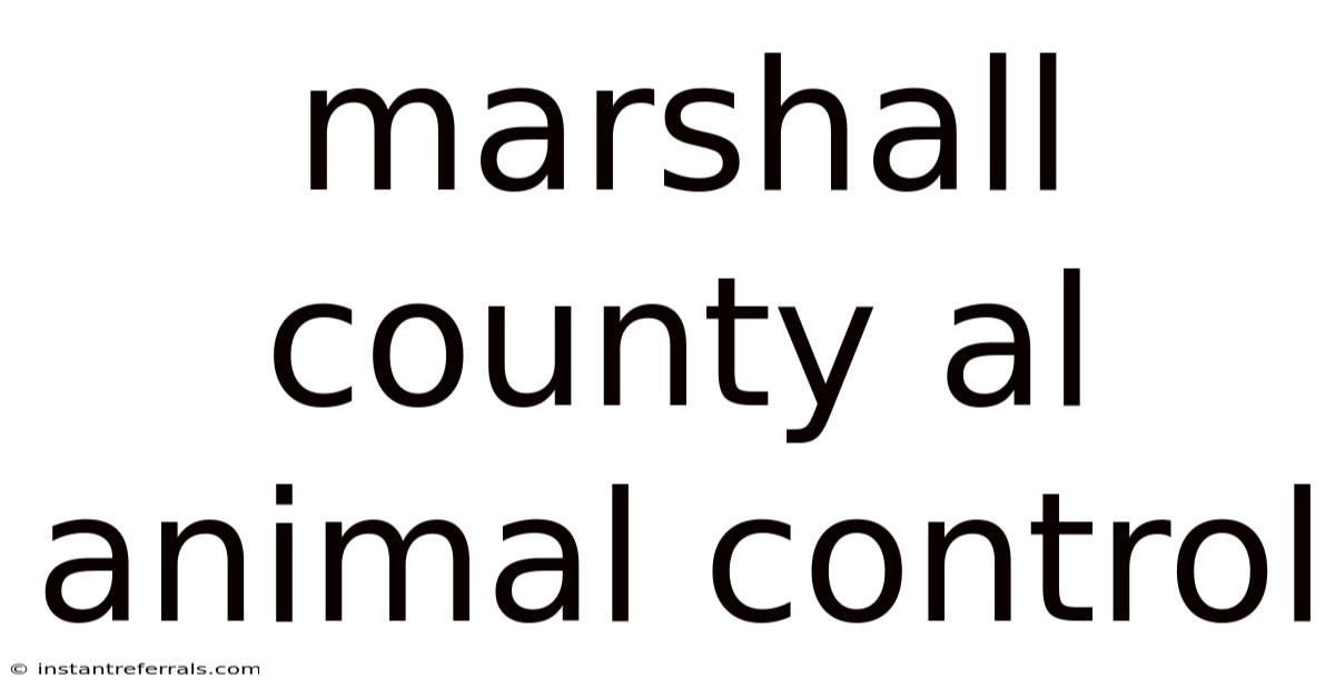 Marshall County Al Animal Control