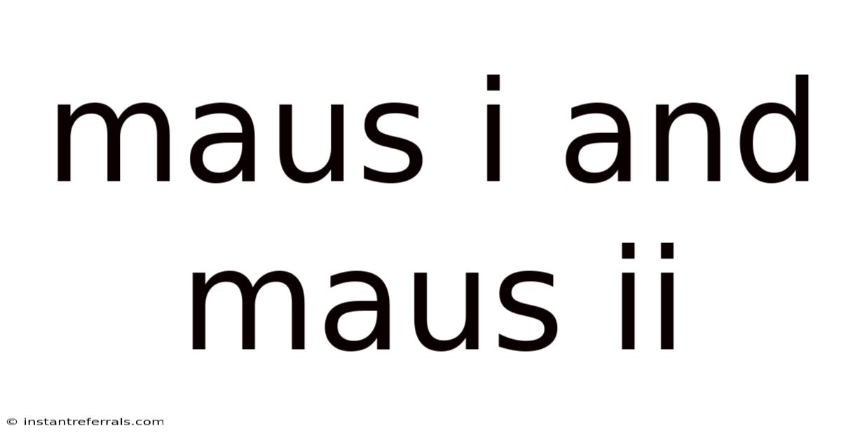 Maus I And Maus Ii