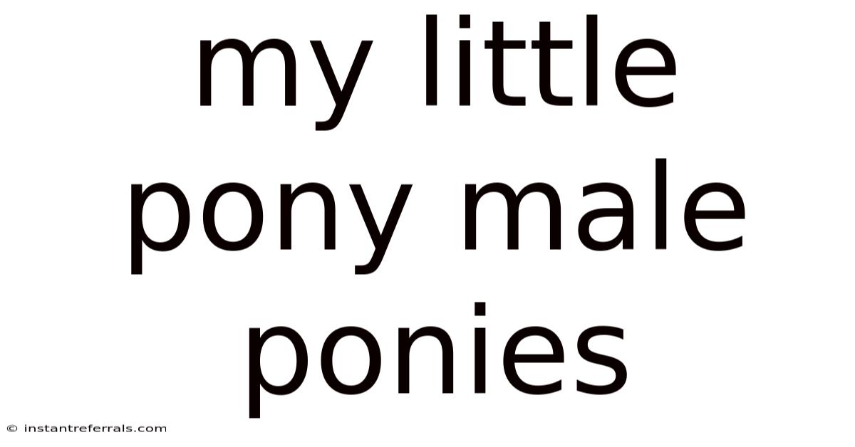 My Little Pony Male Ponies