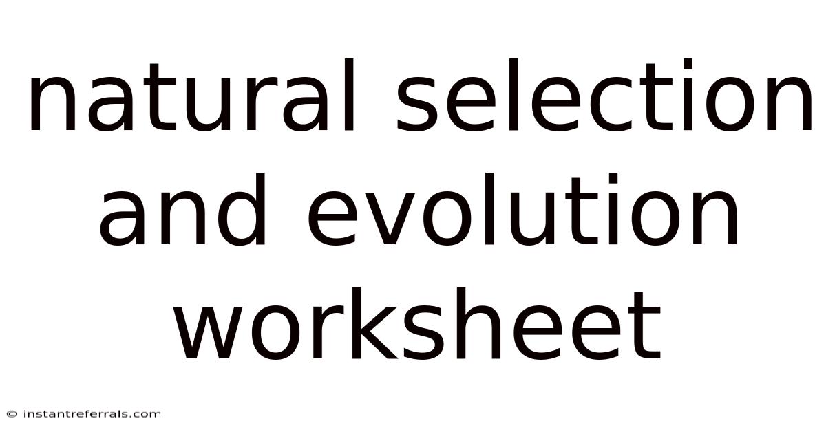 Natural Selection And Evolution Worksheet