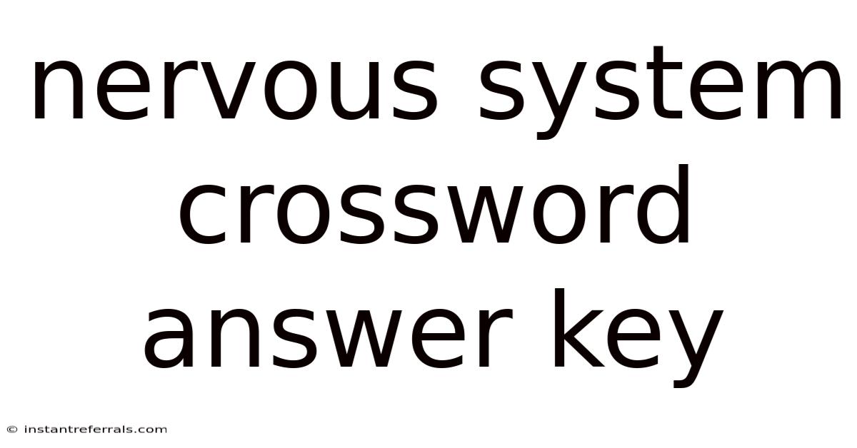 Nervous System Crossword Answer Key
