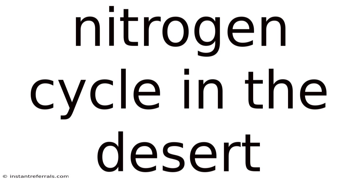 Nitrogen Cycle In The Desert