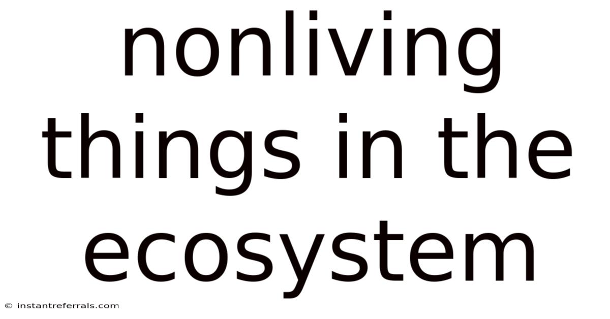 Nonliving Things In The Ecosystem