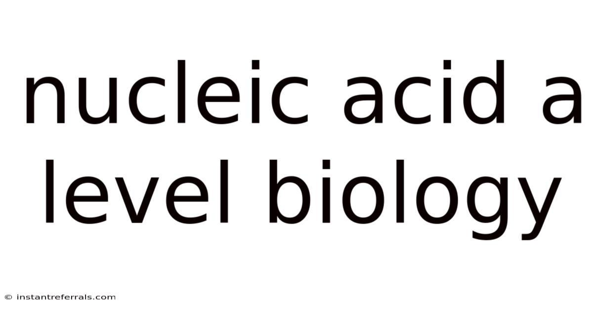Nucleic Acid A Level Biology