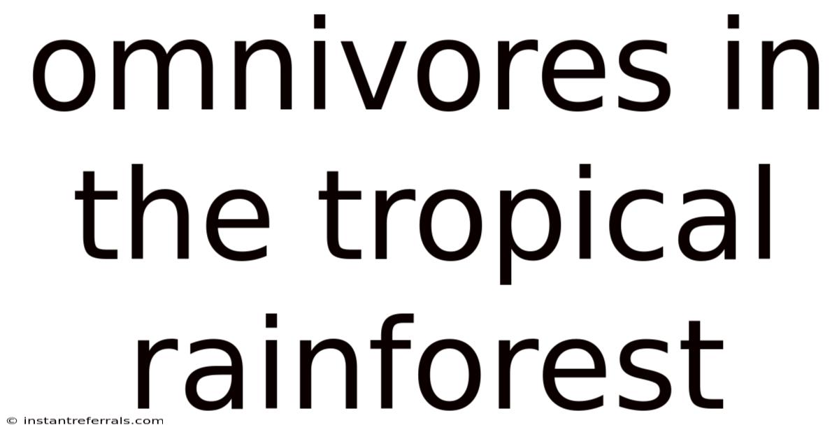 Omnivores In The Tropical Rainforest