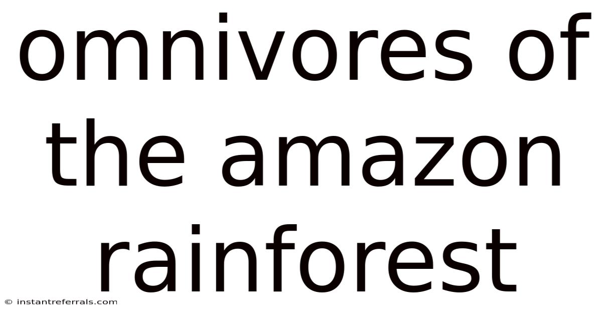 Omnivores Of The Amazon Rainforest