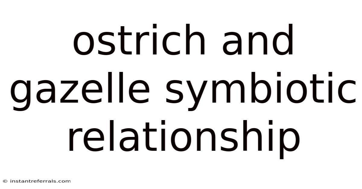 Ostrich And Gazelle Symbiotic Relationship