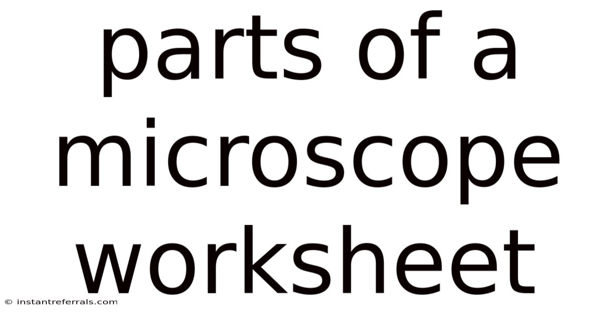 Parts Of A Microscope Worksheet