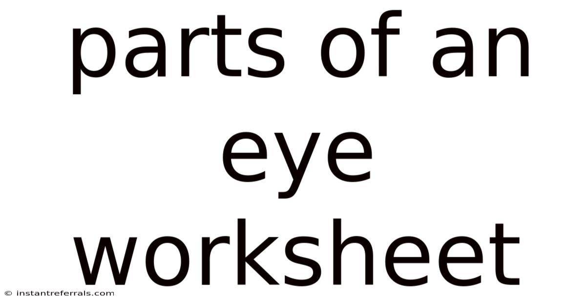 Parts Of An Eye Worksheet