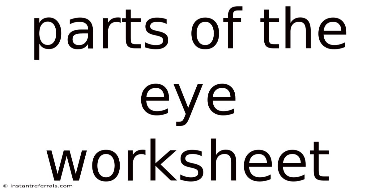 Parts Of The Eye Worksheet