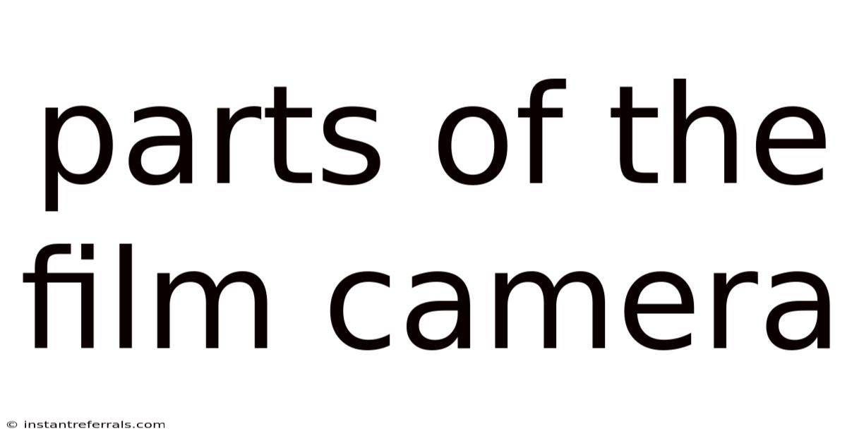 Parts Of The Film Camera