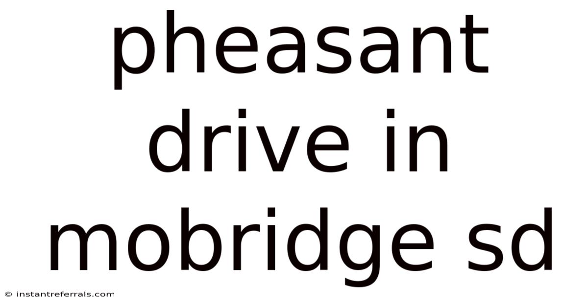 Pheasant Drive In Mobridge Sd