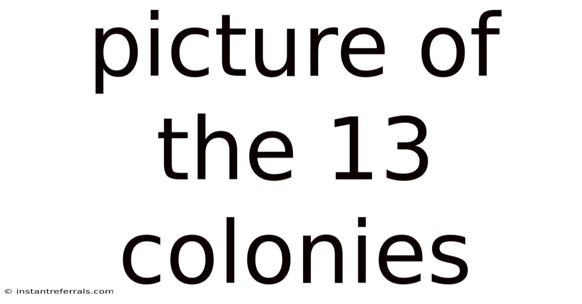 Picture Of The 13 Colonies