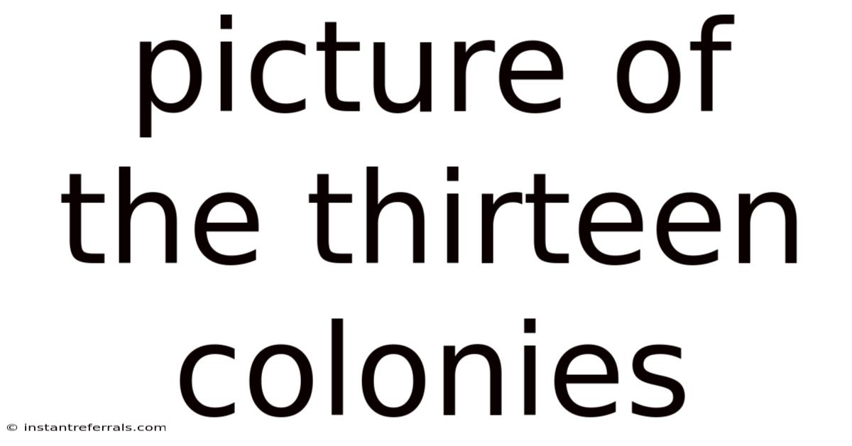 Picture Of The Thirteen Colonies
