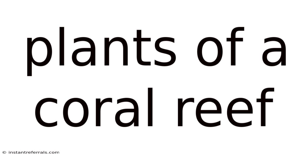 Plants Of A Coral Reef