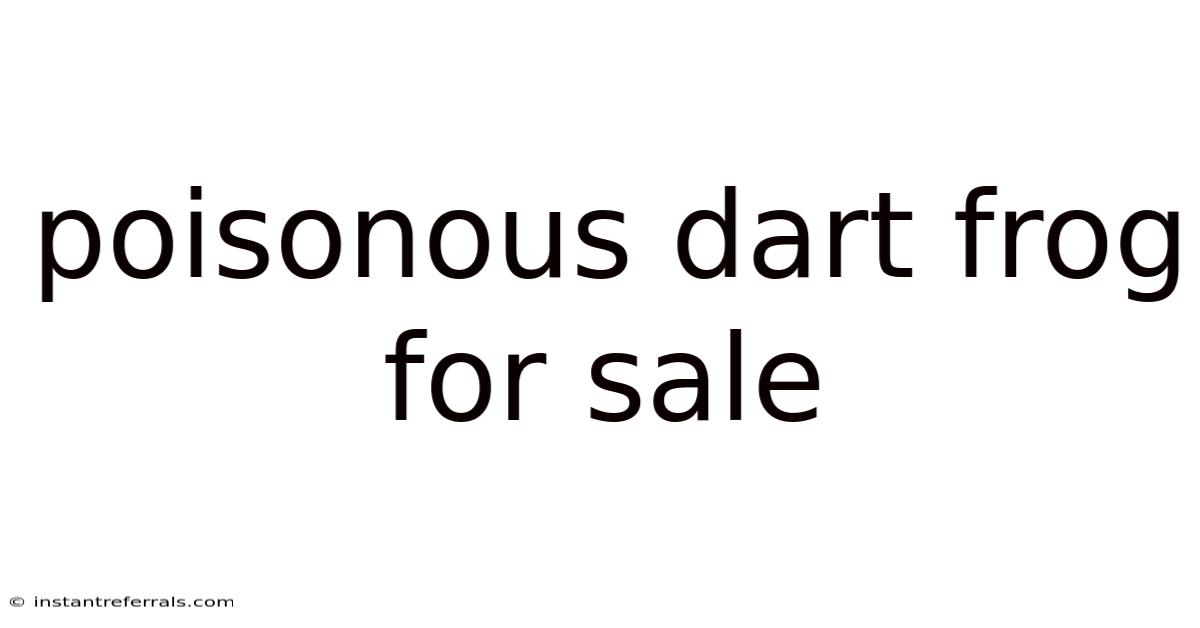 Poisonous Dart Frog For Sale