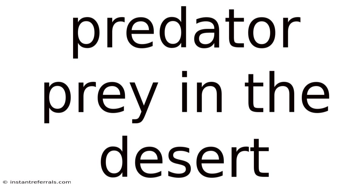 Predator Prey In The Desert