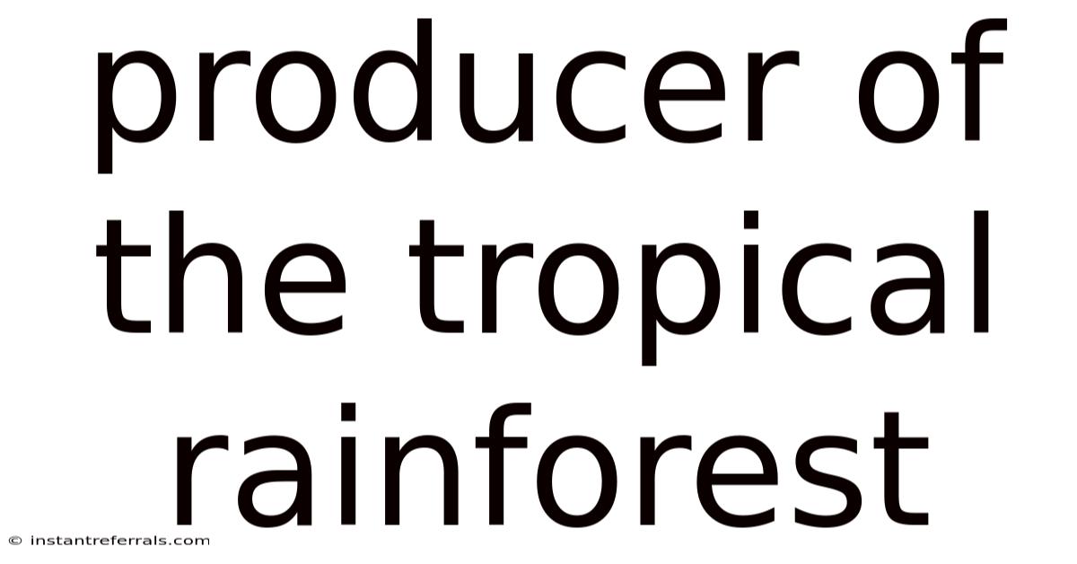 Producer Of The Tropical Rainforest
