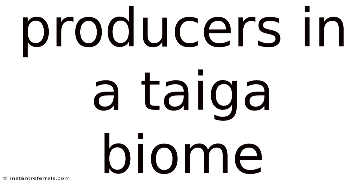 Producers In A Taiga Biome