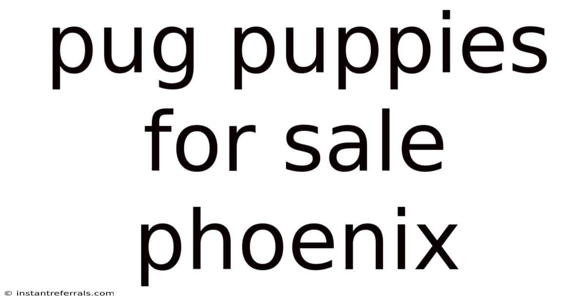 Pug Puppies For Sale Phoenix