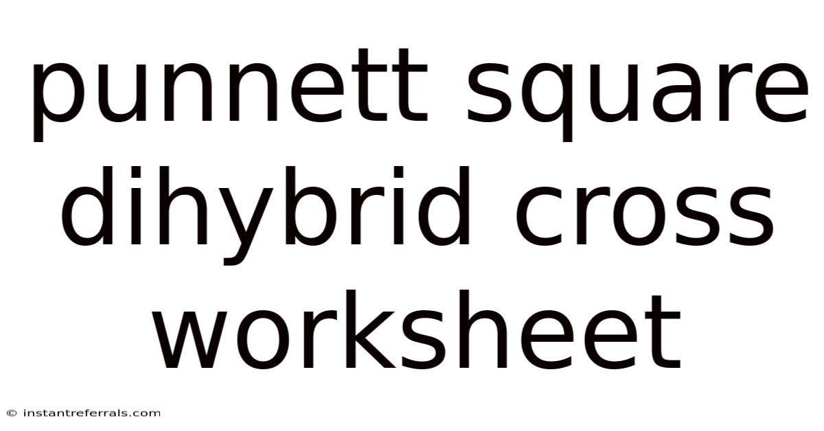 Punnett Square Dihybrid Cross Worksheet