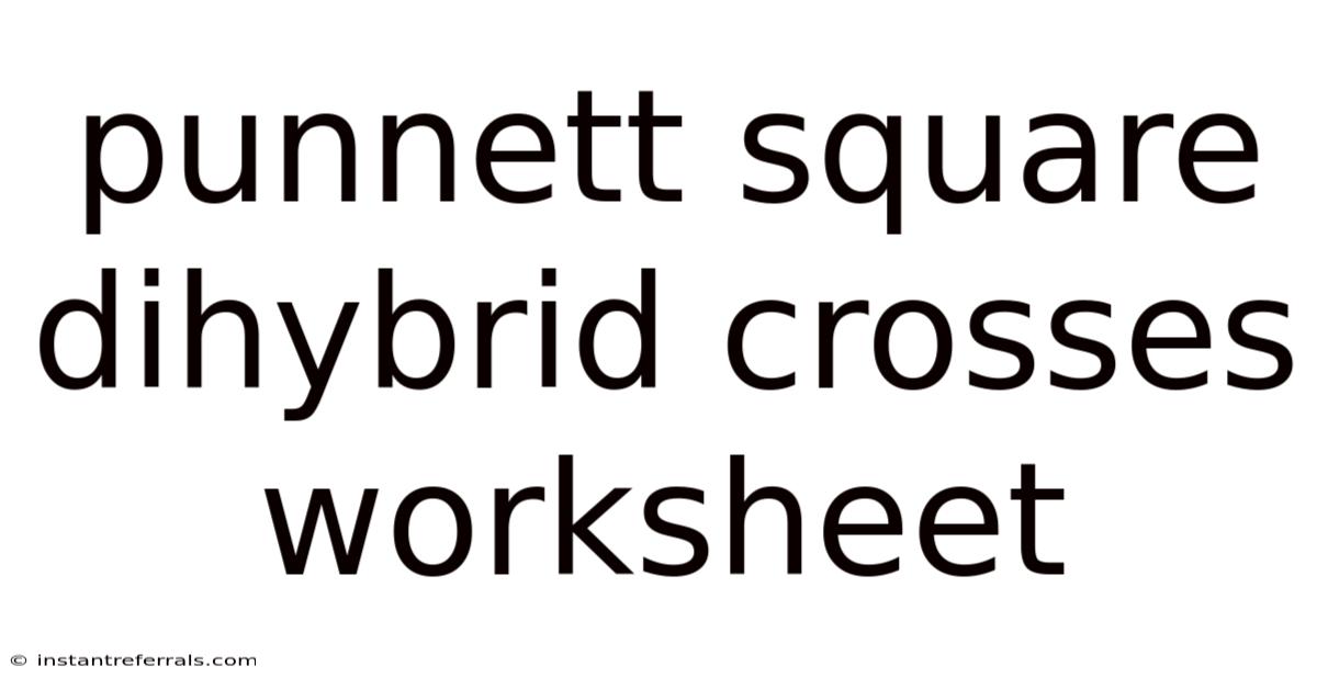 Punnett Square Dihybrid Crosses Worksheet