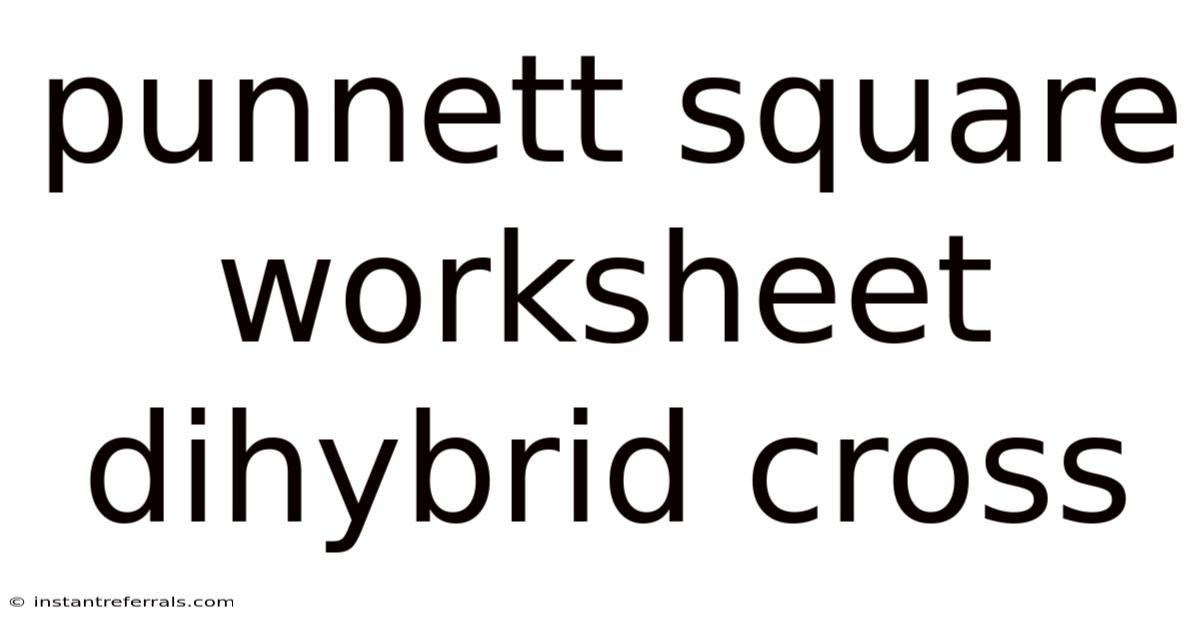 Punnett Square Worksheet Dihybrid Cross